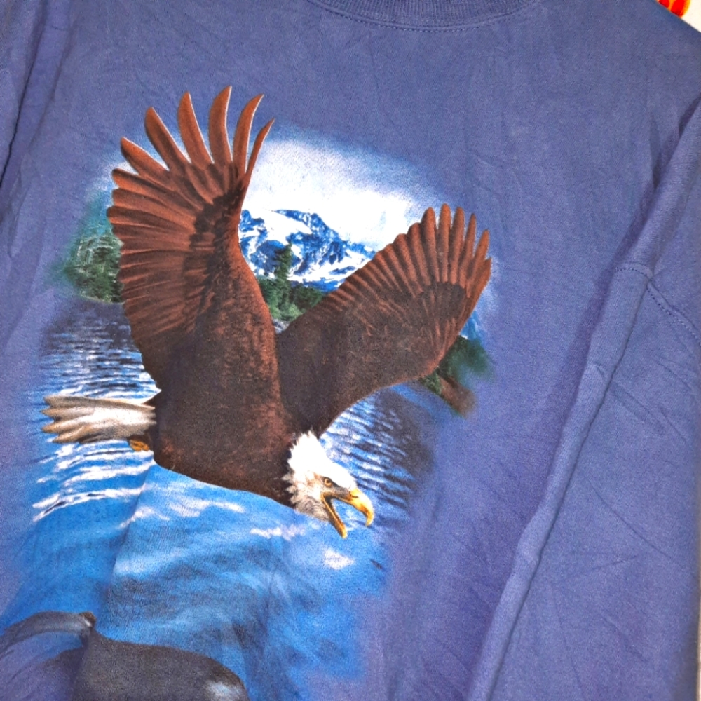 ~{Nublend}~ Vintage eagle sweatshirt.